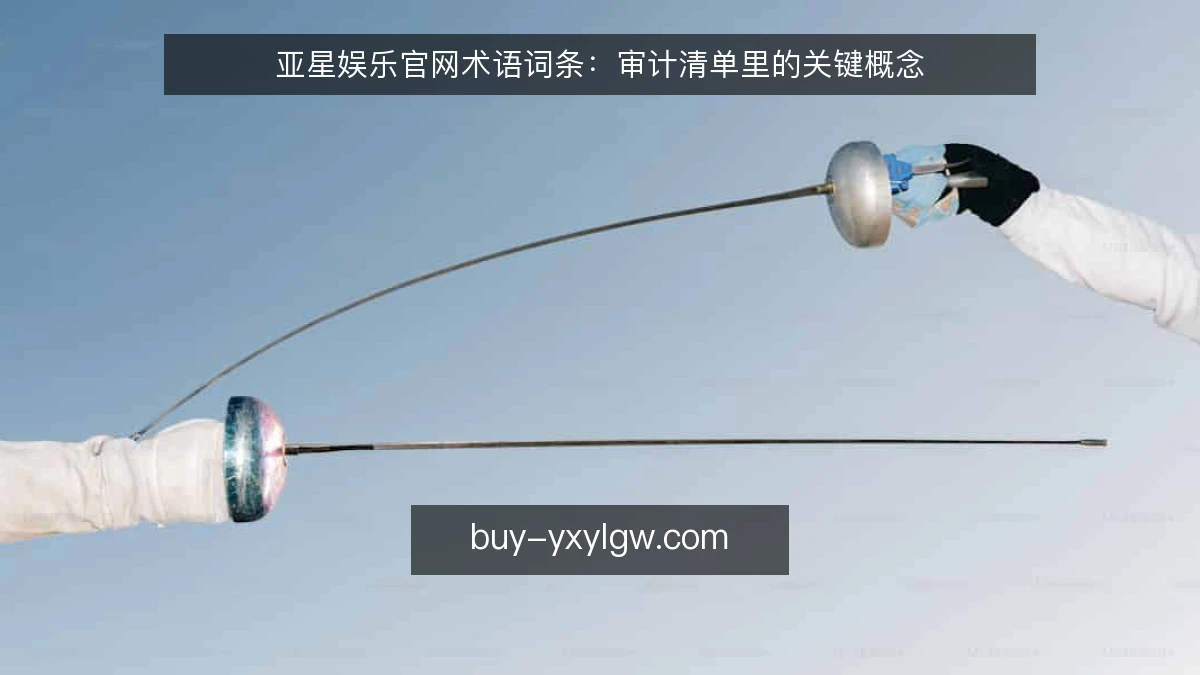 亚星娱乐官网术语词条：审计清单里的关键概念