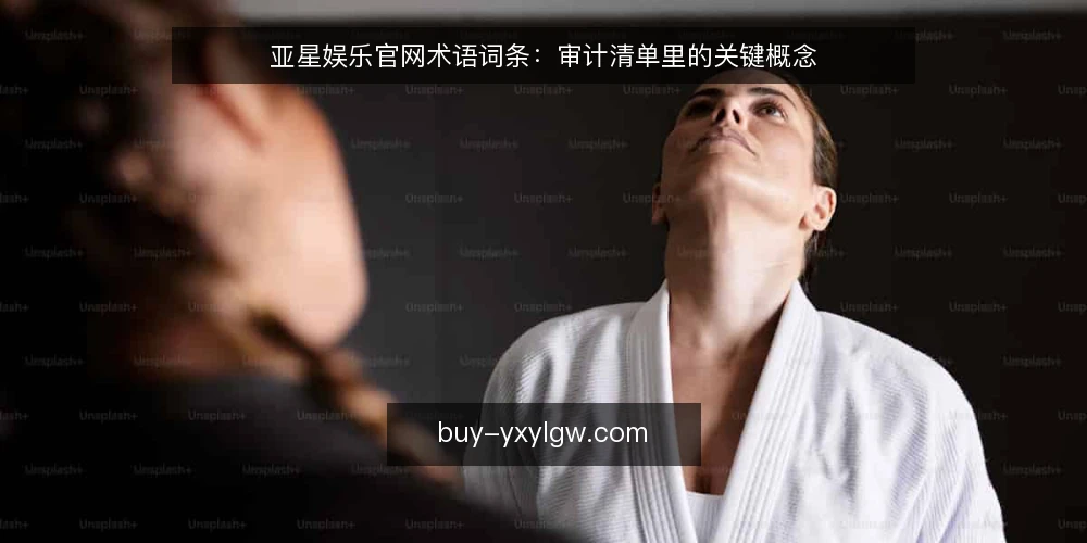 亚星娱乐官网术语词条：审计清单里的关键概念 — 为什么现在需要做术语审计 配图