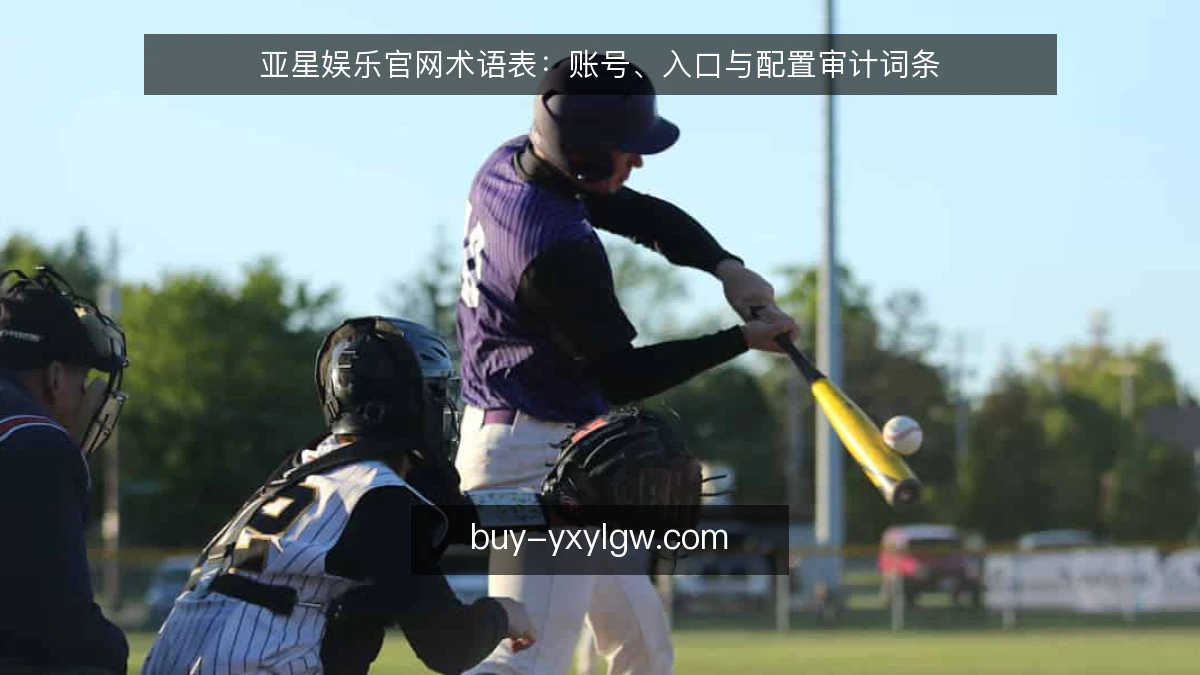 亚星娱乐官网术语表：账号、入口与配置审计词条