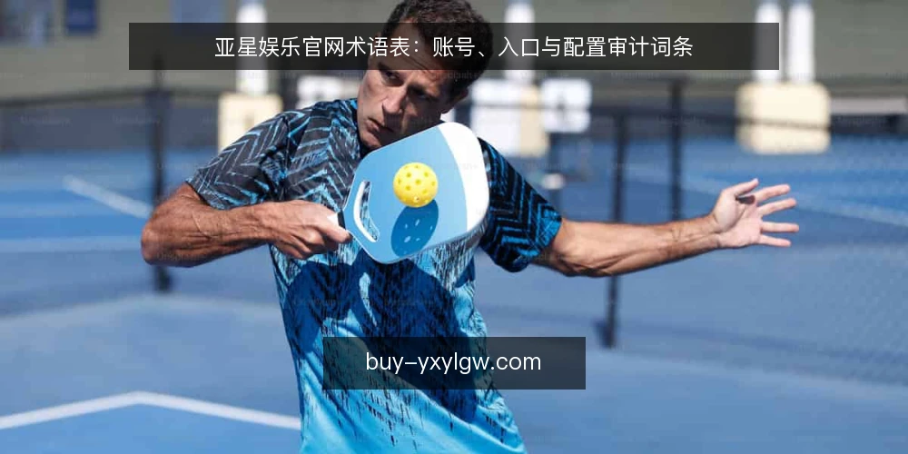 亚星娱乐官网术语表：账号、入口与配置审计词条 — 为什么需要术语审计 配图